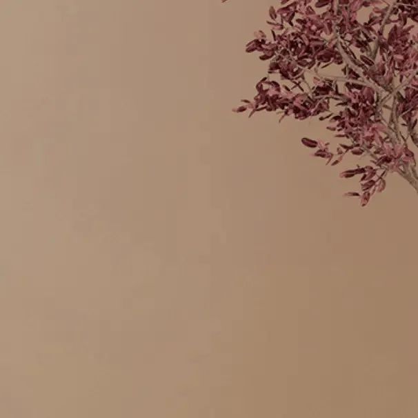 CalceTerra Cotton Texture - Base CT1